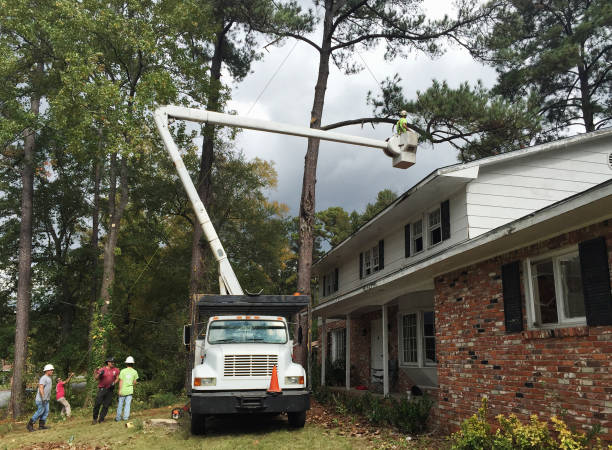 Best Aeration Services  in Brittany Farms The Highlands, PA