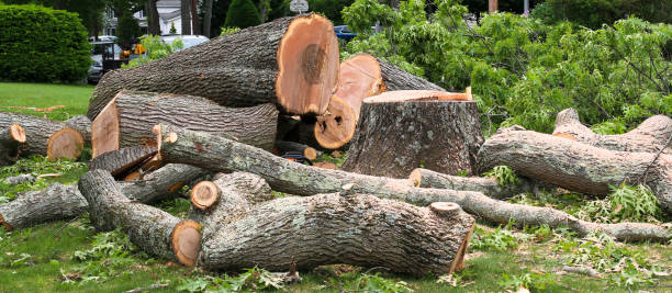 Best Lawn Maintenance Plans  in Brittany Farms The Highlands, PA